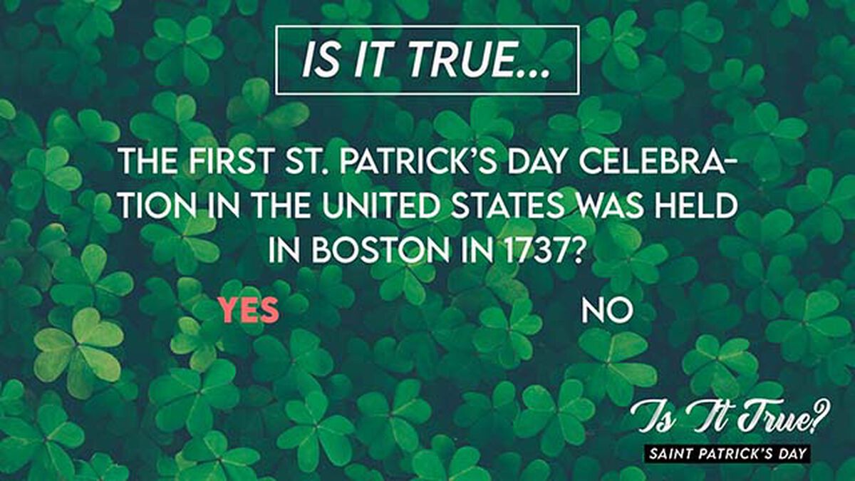 Is It True Saint Patrick's Day Edition image number null